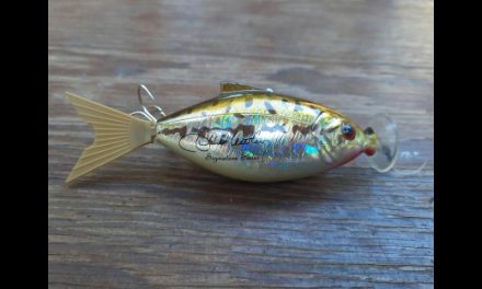 Chuck Woolery Moto Minnow