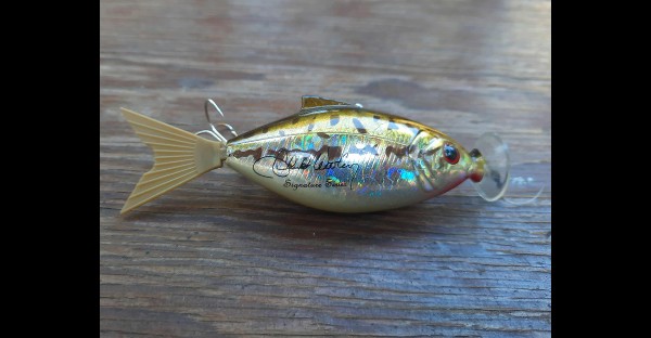 Chuck Woolery Moto Minnow - Bass Fishing Archives Gimmick Bass Tackle