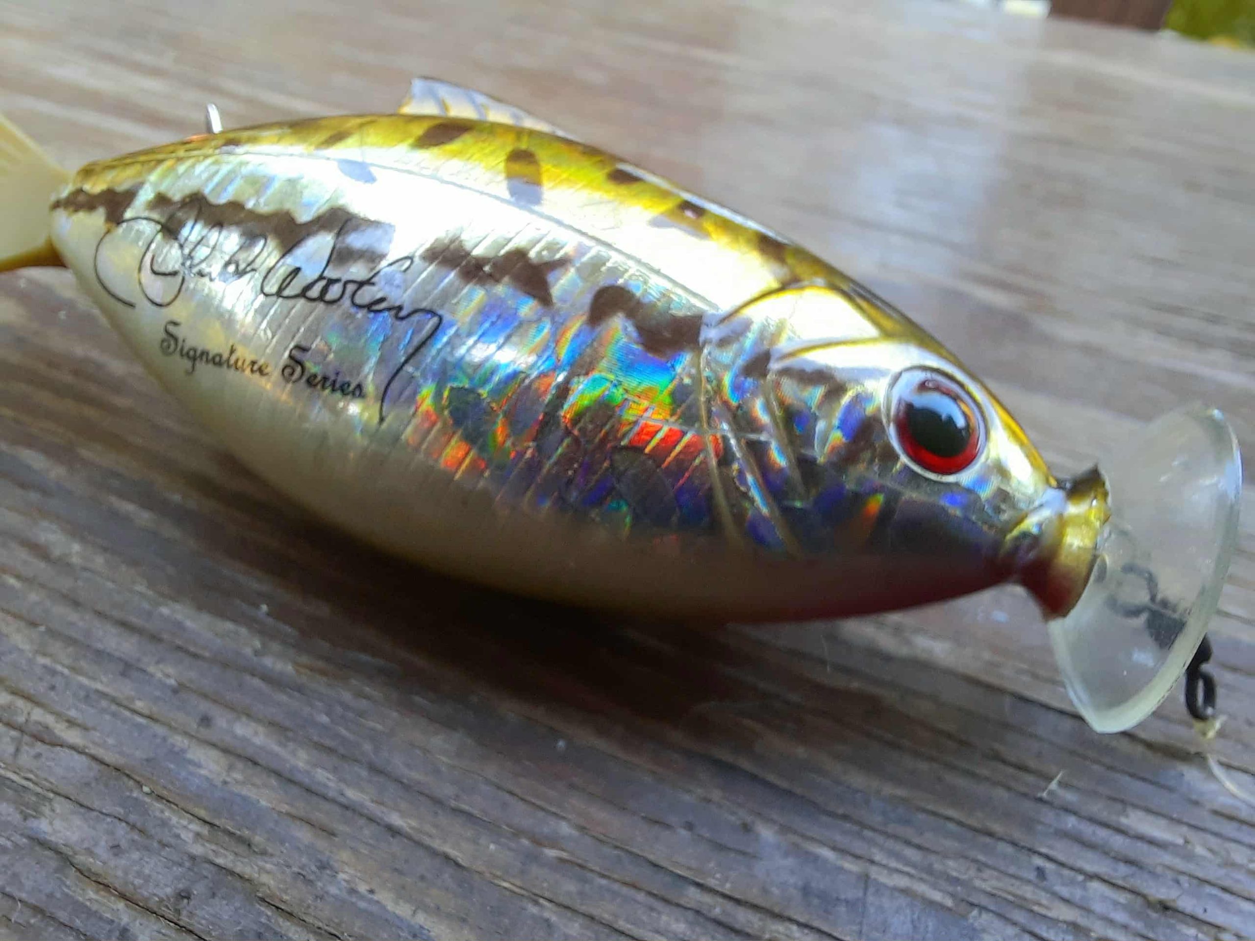 ayr fly reel Colorado's forgotten gem: The Ayr FP (Frying Pan) fly reel  Wanders With  Trout