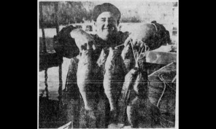 Billy Westmoreland Froglegs and Smallmouth Bass
