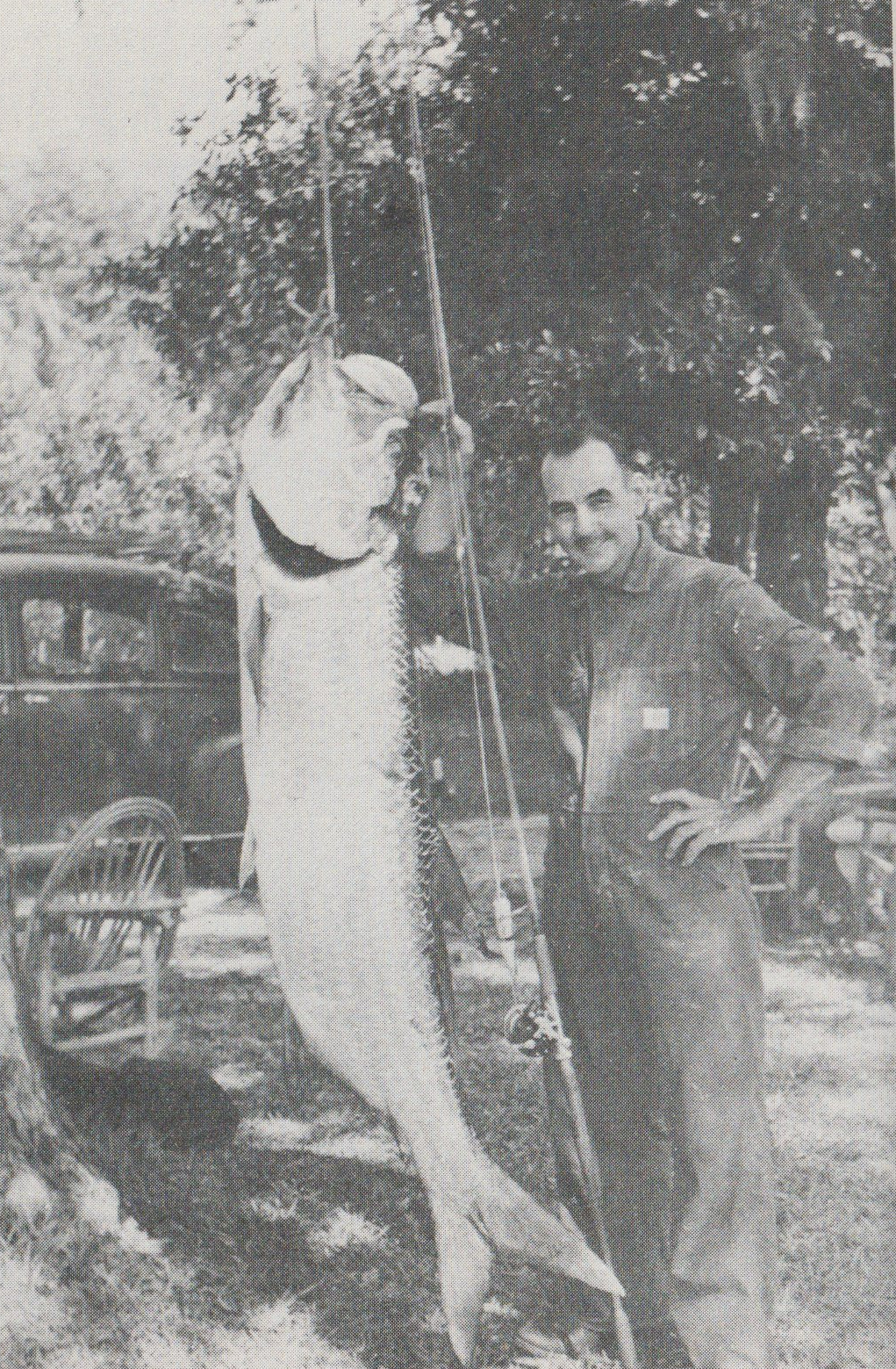 burke fishing lures catalpa worm Vintage Burkes Flexo-Lures Catalpa Worm Lure Display Card Signage