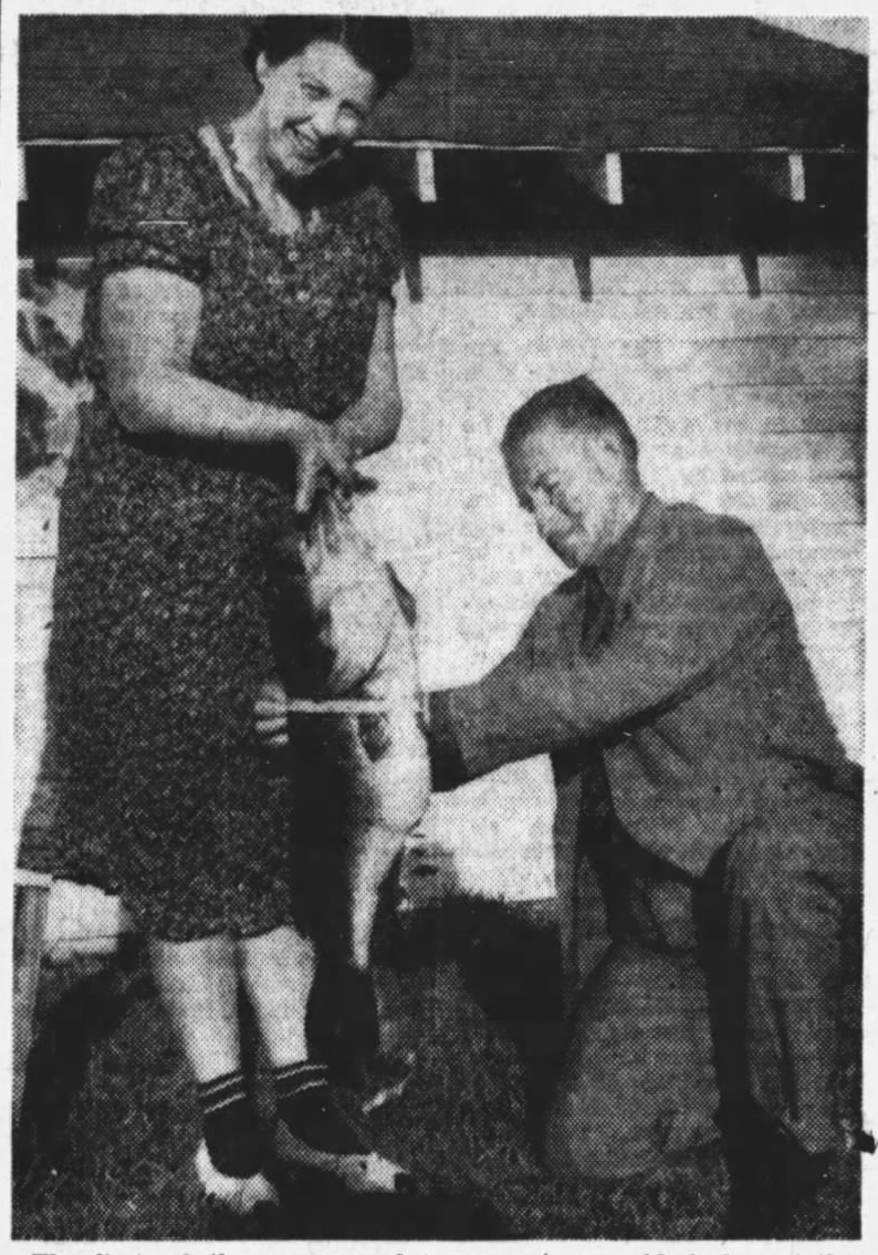 "It's a Big Bass, Mrs. Sheffield." Tampa Bay Times, April 21, 1940, St. Petersburg, Florida. In this photo Mrs. Guy Sheffield's 11-pound, 6-ounce (originally 14-pounds) largemouth is being measured by Robert Page Lincoln.