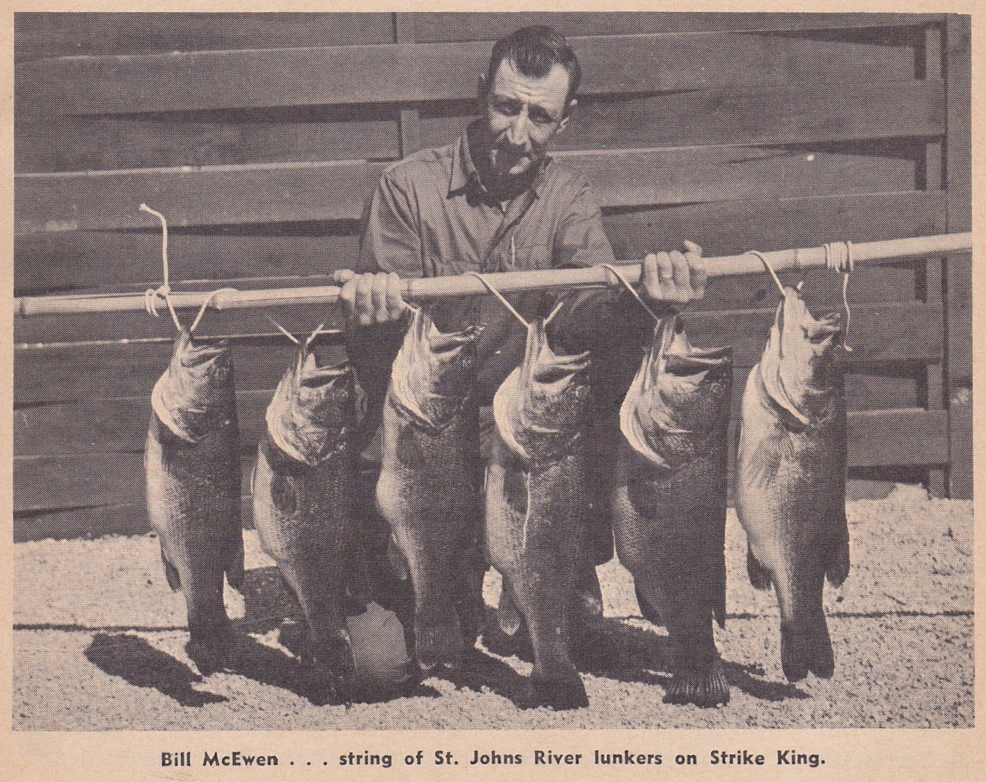 Bill McEwen 1963 Don Fuelsch's Southern Angler's and Hunter's Guide Bill McEwen 1963 Don Fuelsch's Southern Angler's and Hunter's Guide.