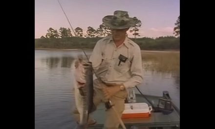 Videos for Better Bass Fishing