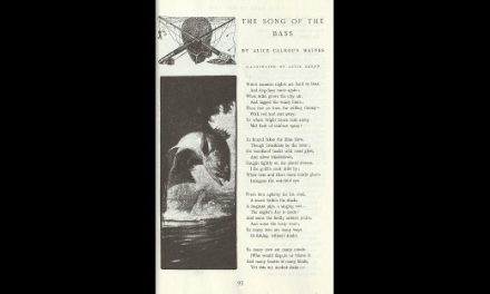 Song of the Bass