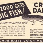 “Old 2000” – Darter or Wiggle King
