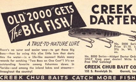 “Old 2000” – Darter or Wiggle King