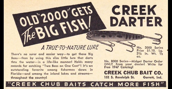 “Old 2000” – Darter or Wiggle King