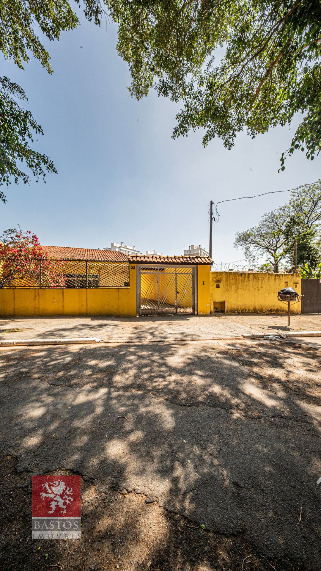 Foto Rua Silvestre Rodrigues