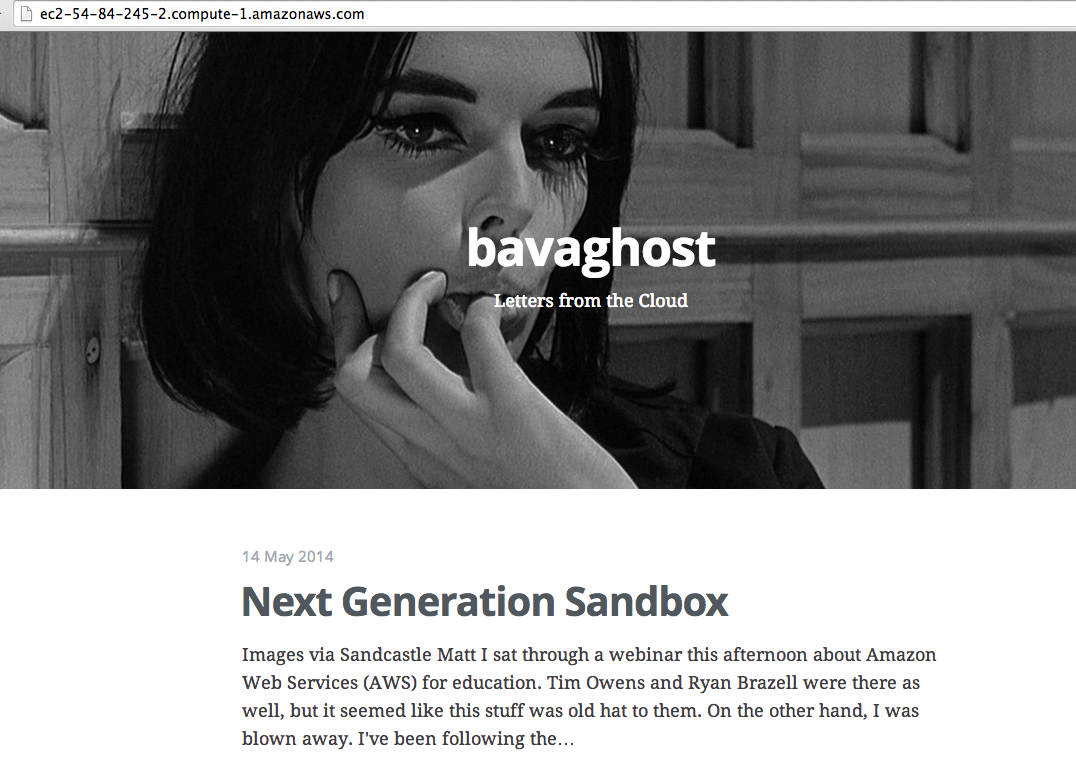 bavaghost