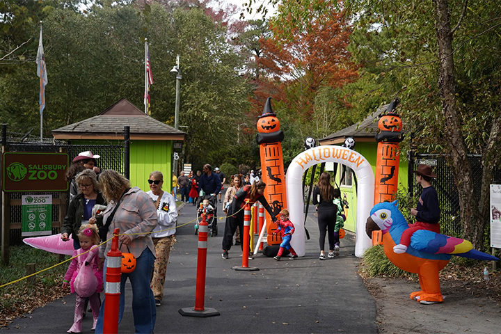 Things are getting spooky in Maryland’s Wicomico County