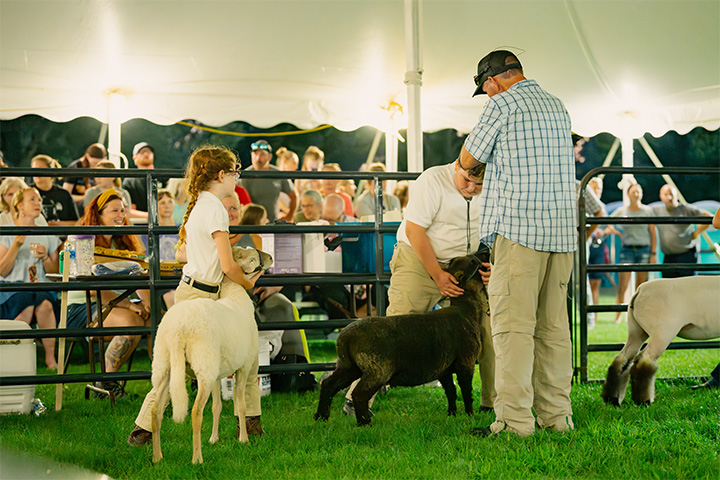 Make the Most of Your Summer in Maryland’s Wicomico County