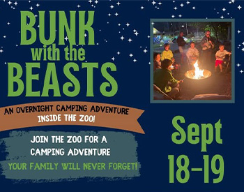 Bunk with the Beasts