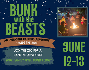 Bunk with the Beasts