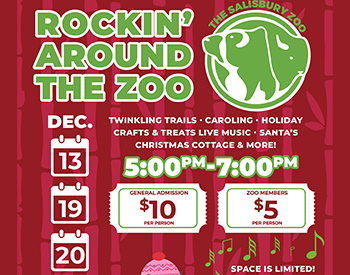 Rockin' Around The Zoo