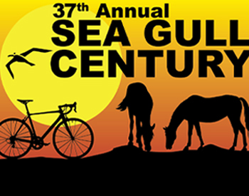 Sea Gull Century