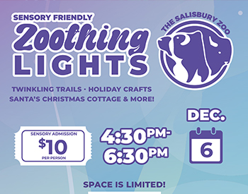 Sensory Friendly Zoothing Lights