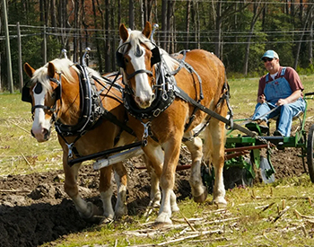 Mt. Hermon Plow Days