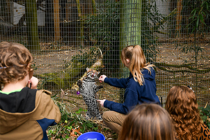 Go wild at the Salisbury Zoo with these free summer programs 