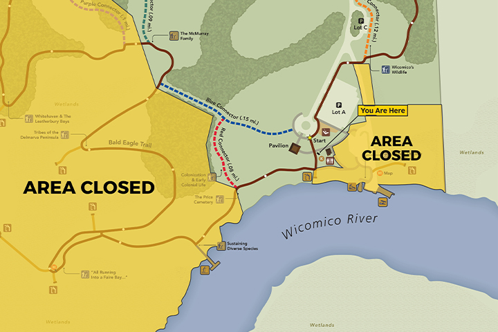 Portions of Pirate's Wharf To Close for Construction