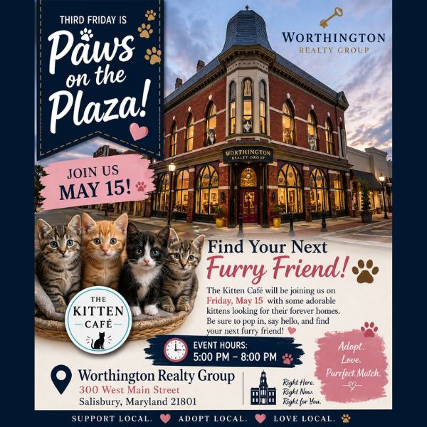 Cat Adoption Sponsored by Worthington Realty Group and Kitten Cafe image