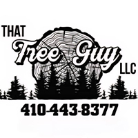 That Tree Guy