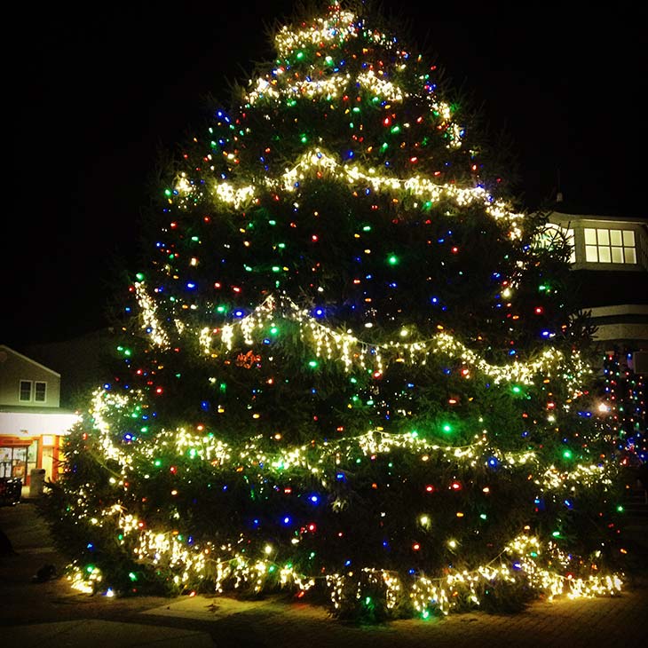 Tree Lighting Tradition