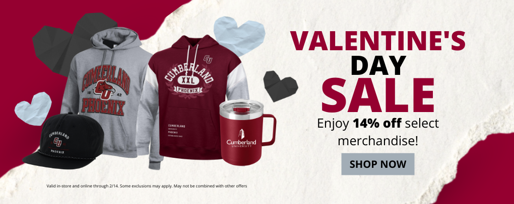 Valentine's Day Sale