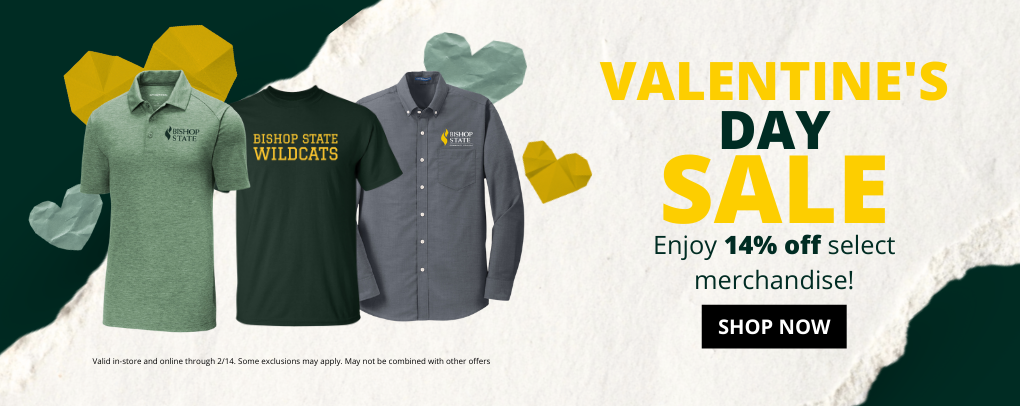 Valentine's Day Sale