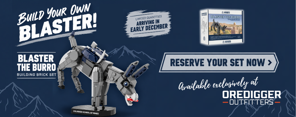Pre-order your Blaster Brick Set today!