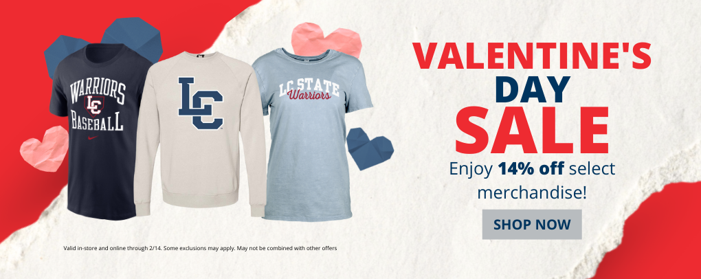 Valentine's Day Sale