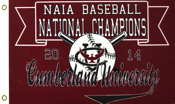 2014 NAIA Baseball National Champions 3X5 Flag