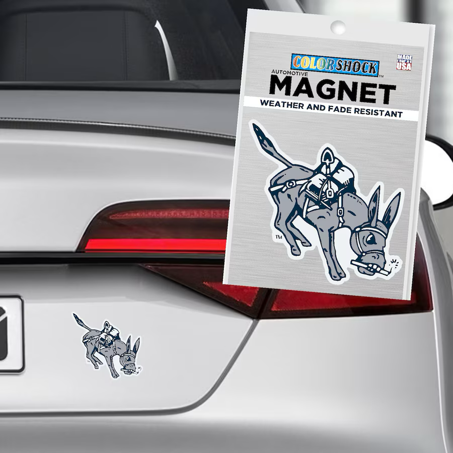 Blaster Automotive Magnet - Small