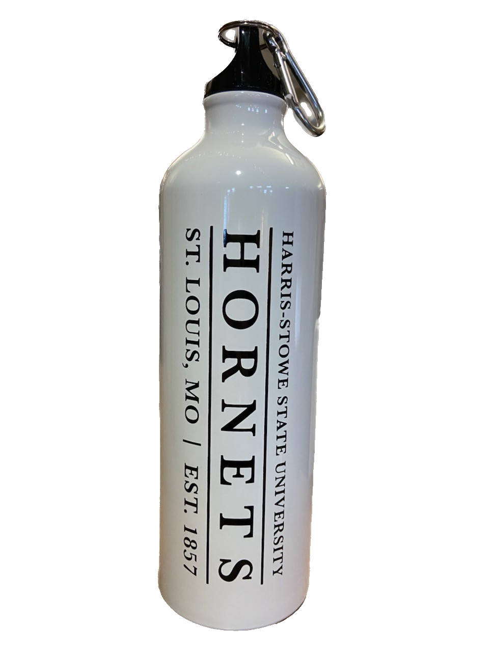 H2go Aluminum Water Bottle