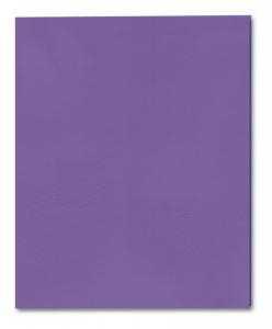 Roaring Spring Paper Pocket Folder - Purple 9.5x11.75in Bulk 2 Pocket