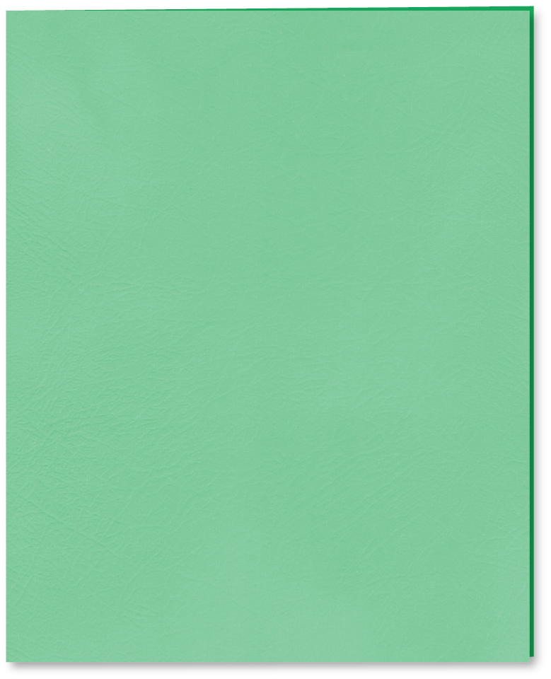 Roaring Spring Paper Pocket Folder - Green 9.5x11.75in Bulk 2 Pocket