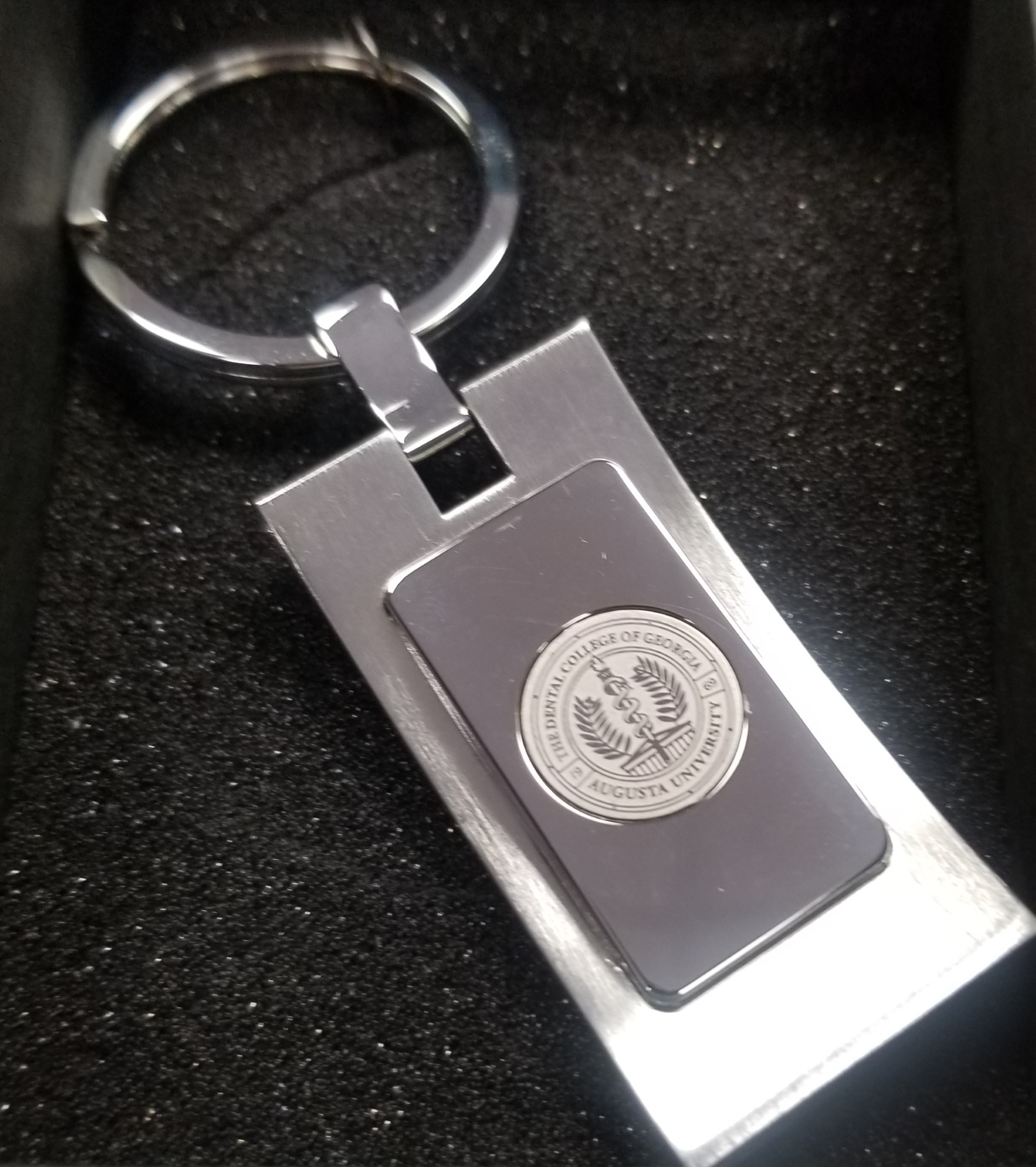 CSI DCG Key Ring Silver
