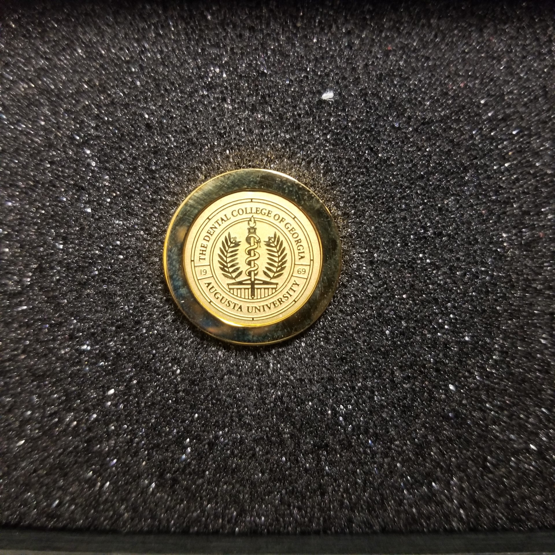 JAR DCG Lapel Pin