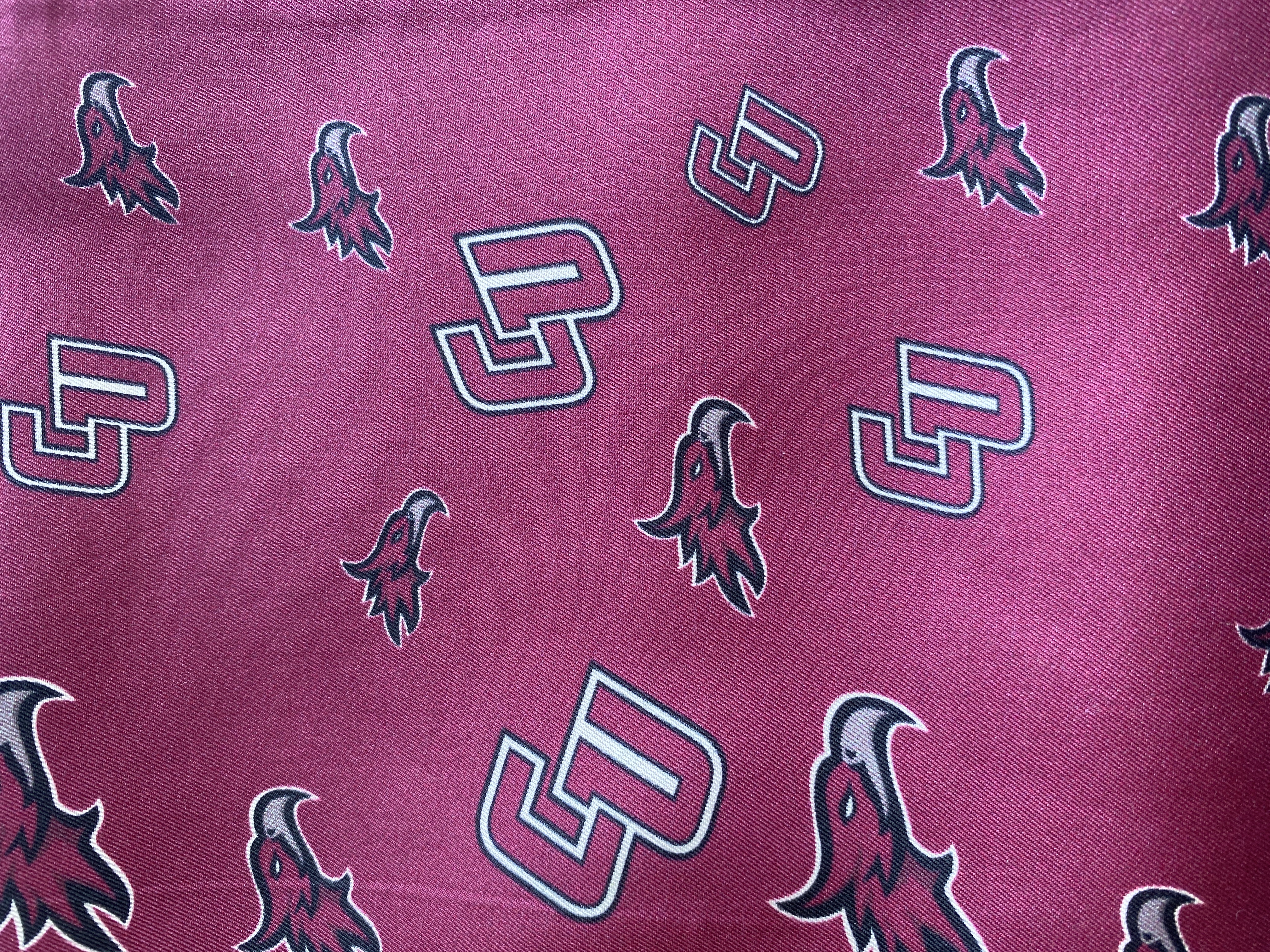 CU Printed Silk Scarf 5727