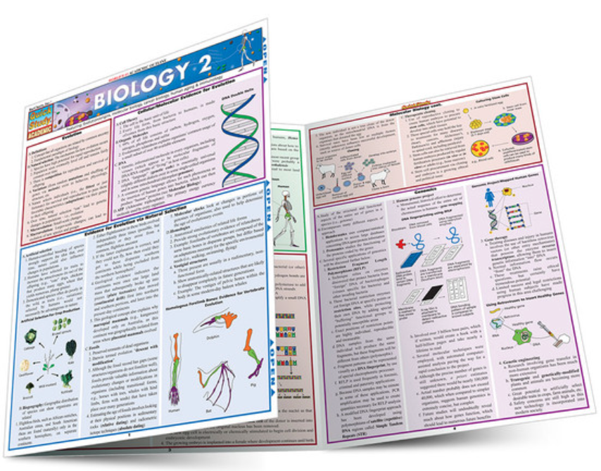 BIOLOGY 2