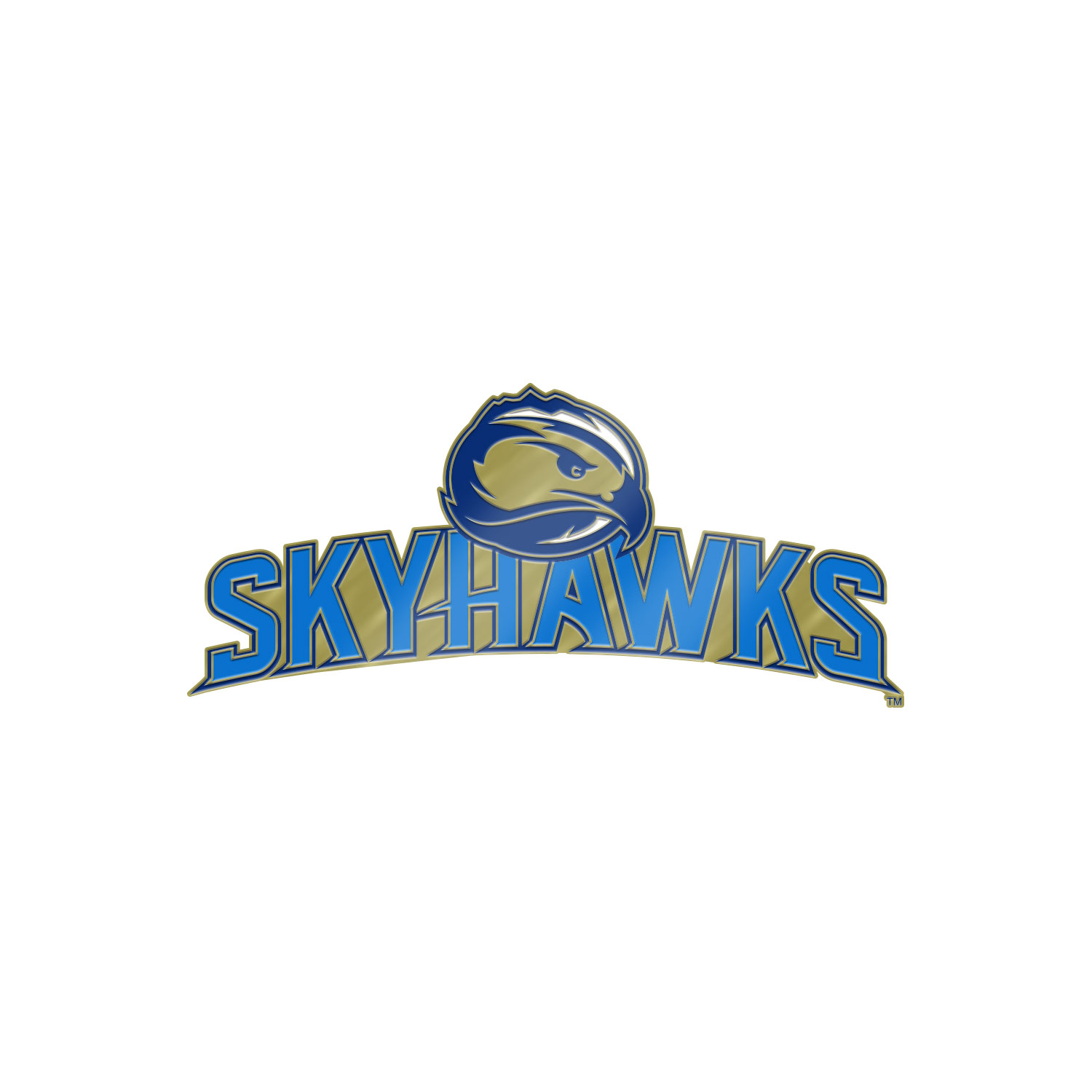 Skyhawks Brass Lapel Pin