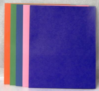 Double 2-Pocket Portfolio Folder