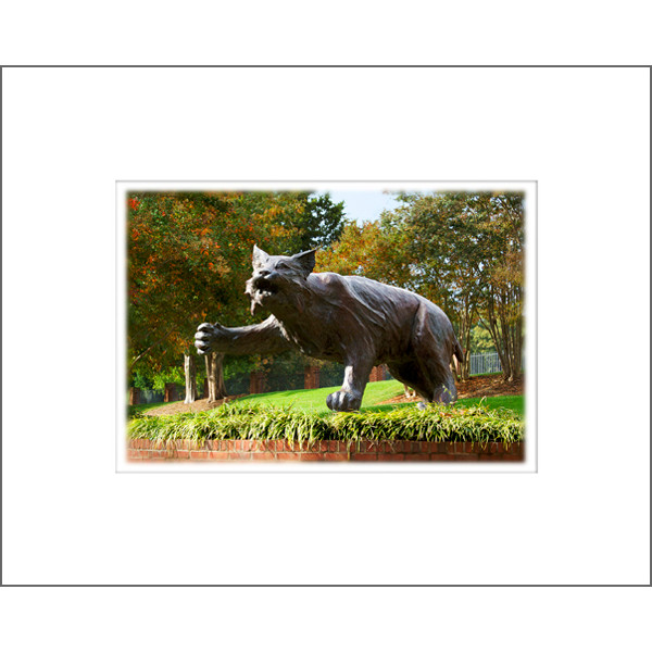8"X10" Davidson Wildcat Print with Mat