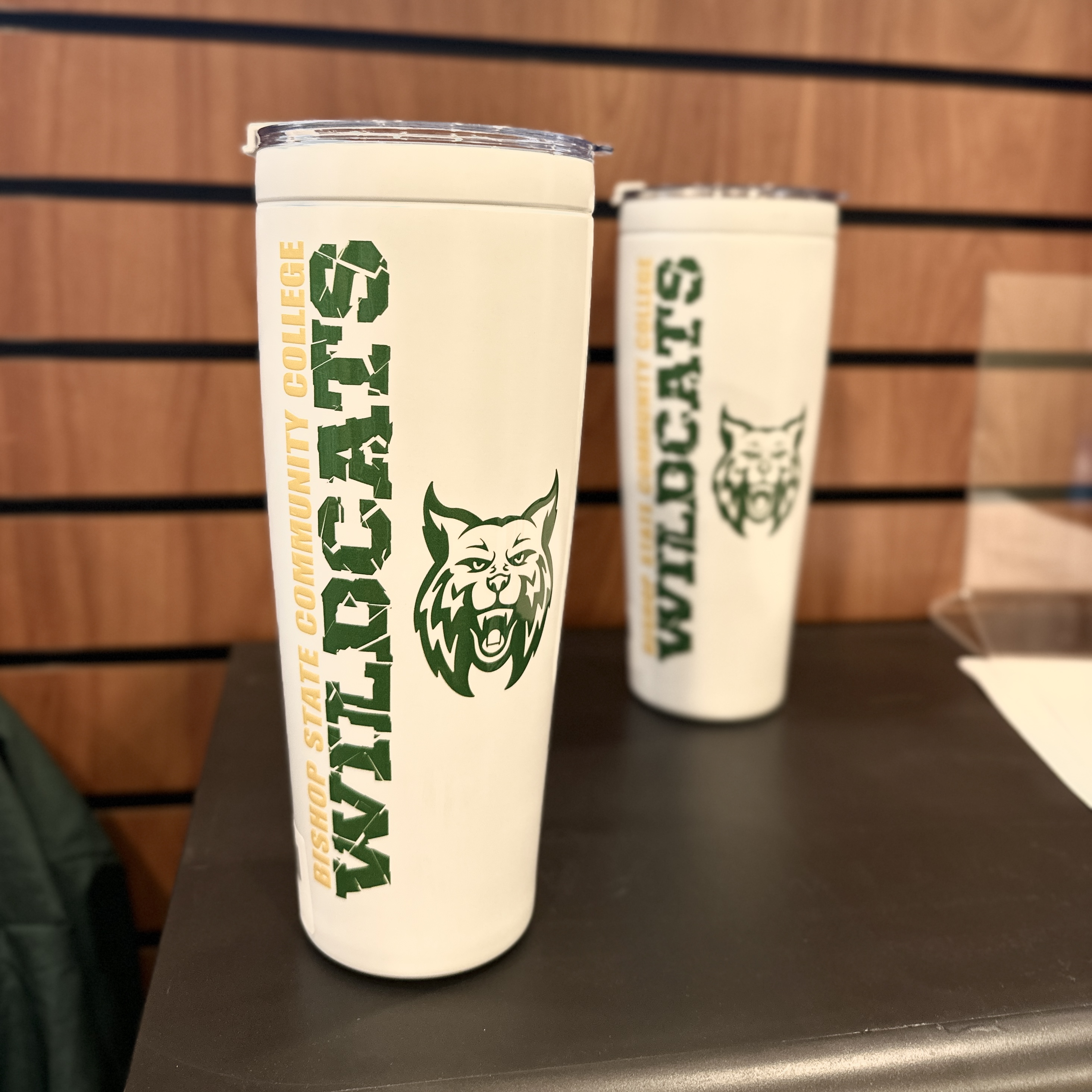 Wildcats Stainless Steel Tumbler