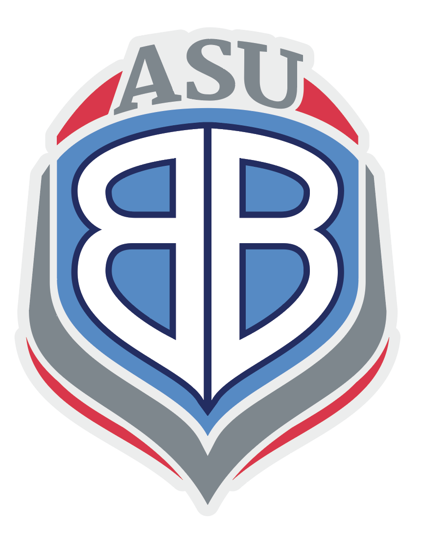 ASUB Full Color Car Decal