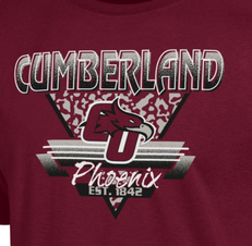 Cumberland Phoenix Est. 1842 Triangle Long Sleeve Shirt