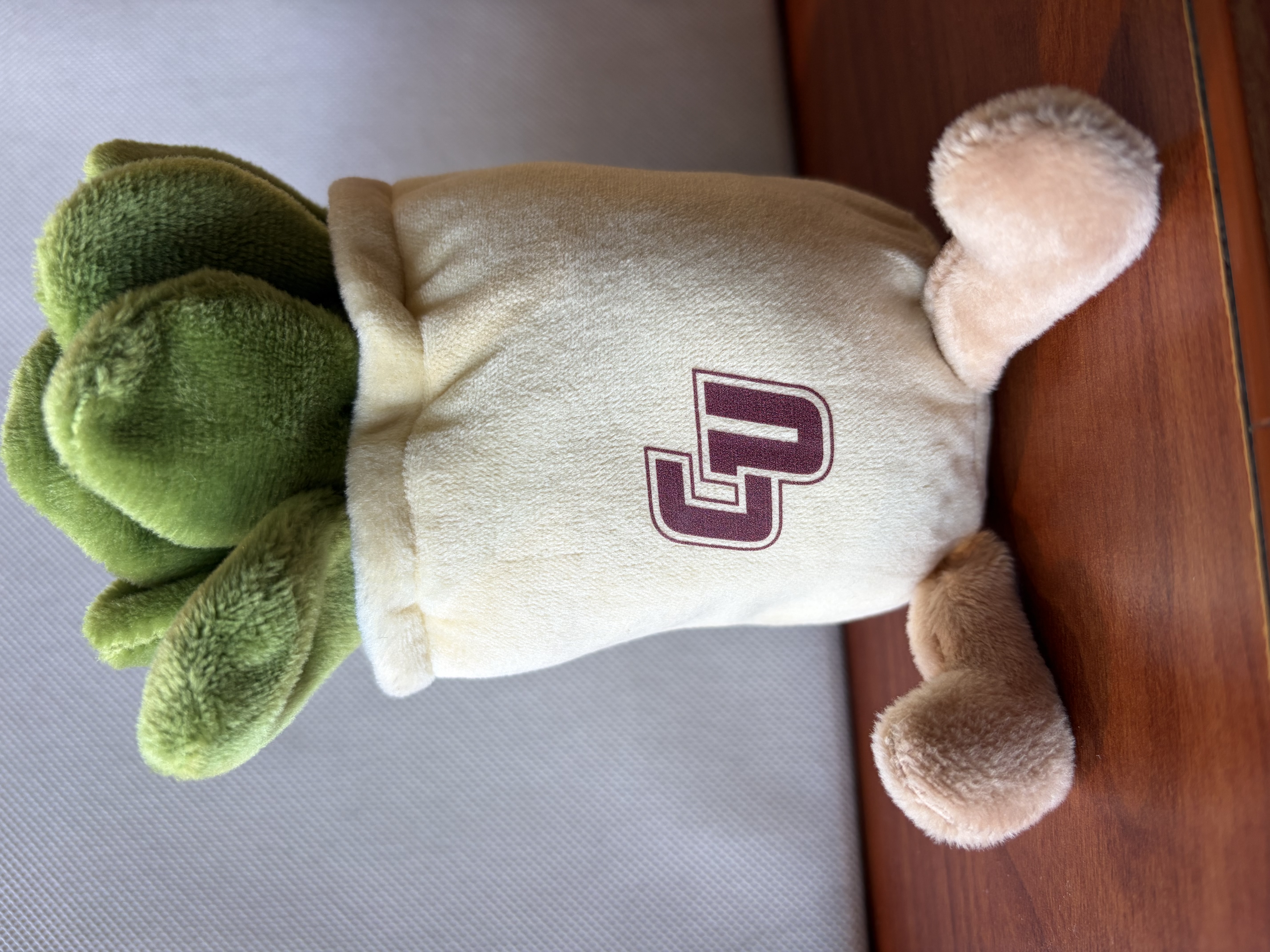 CU Zenzies Succulent Plush