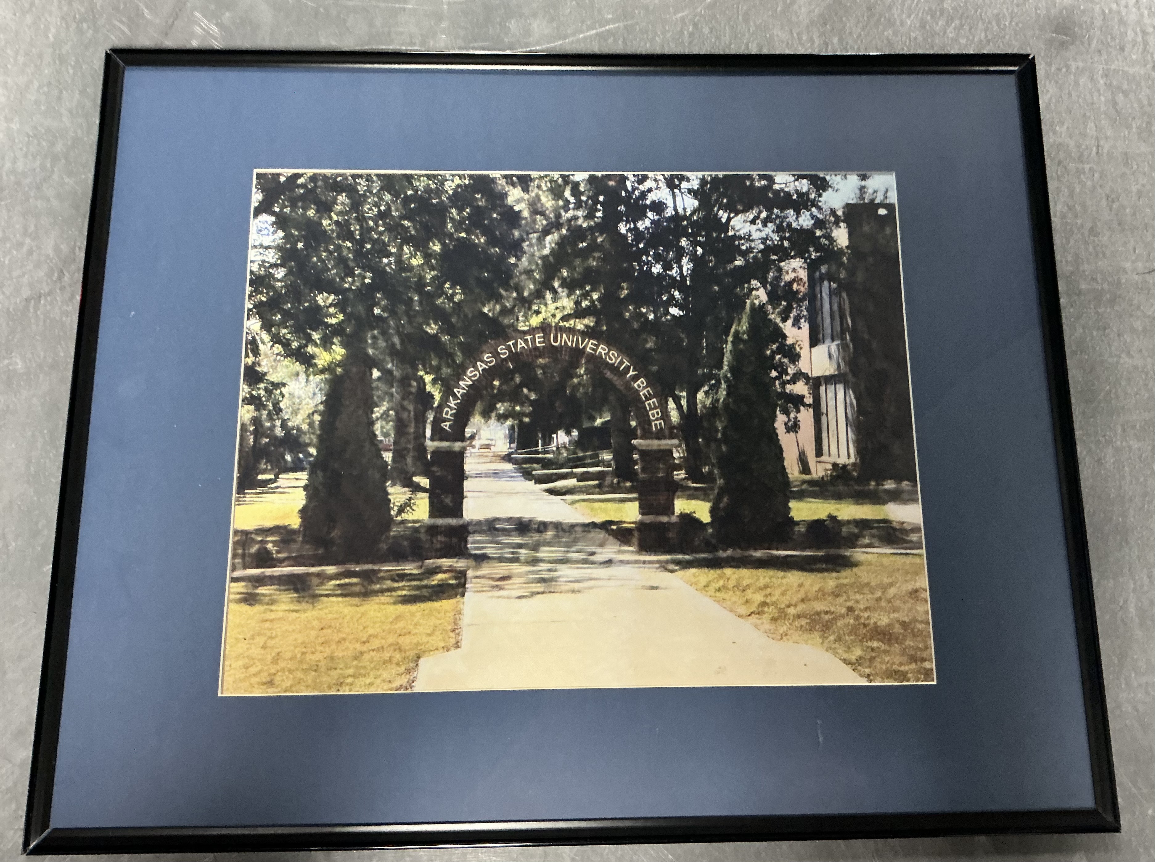 ASU-Beebe 16x20 Framed Print