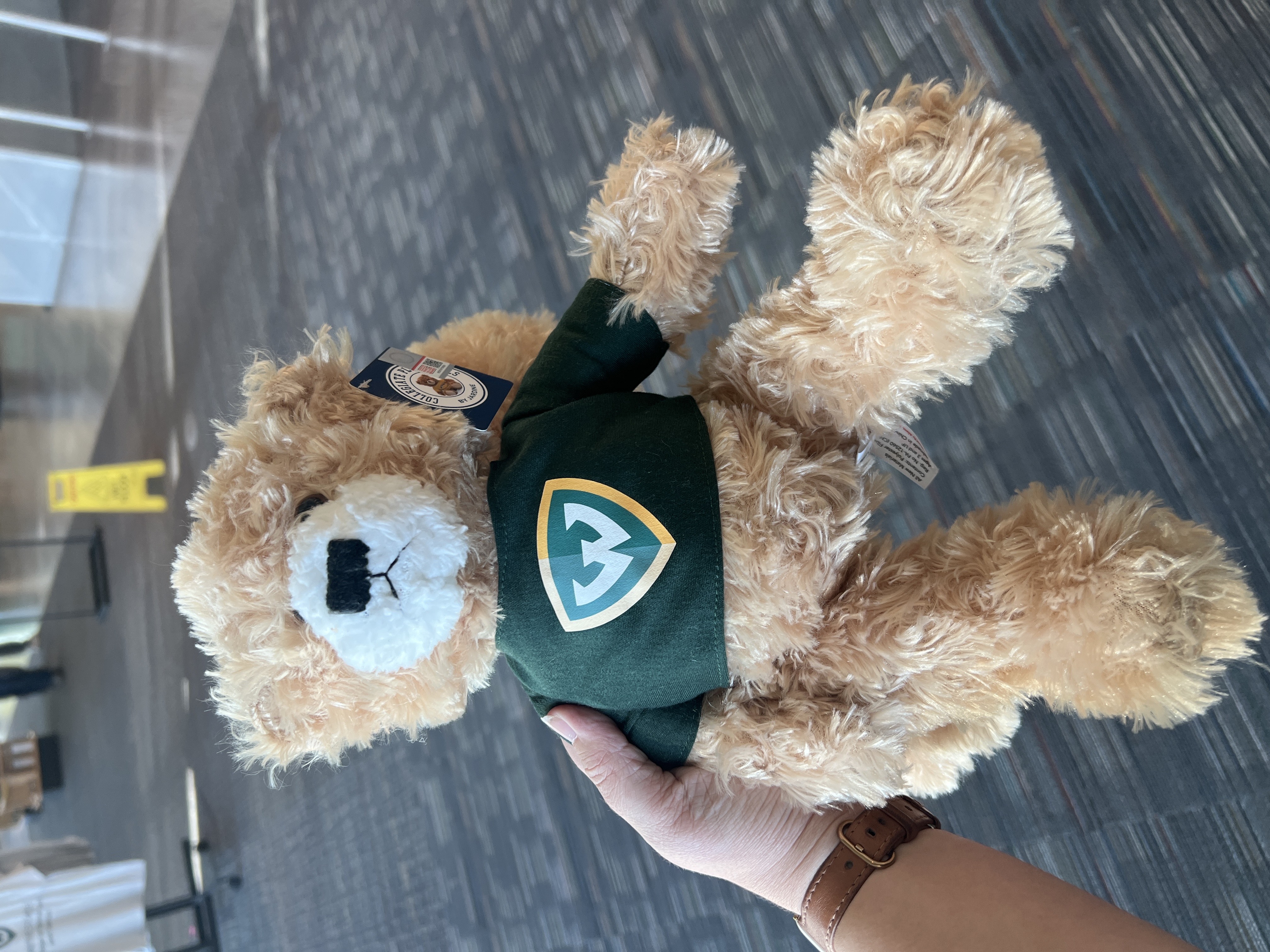 Jardine WSU Shield Brandon 12in Plush Bear