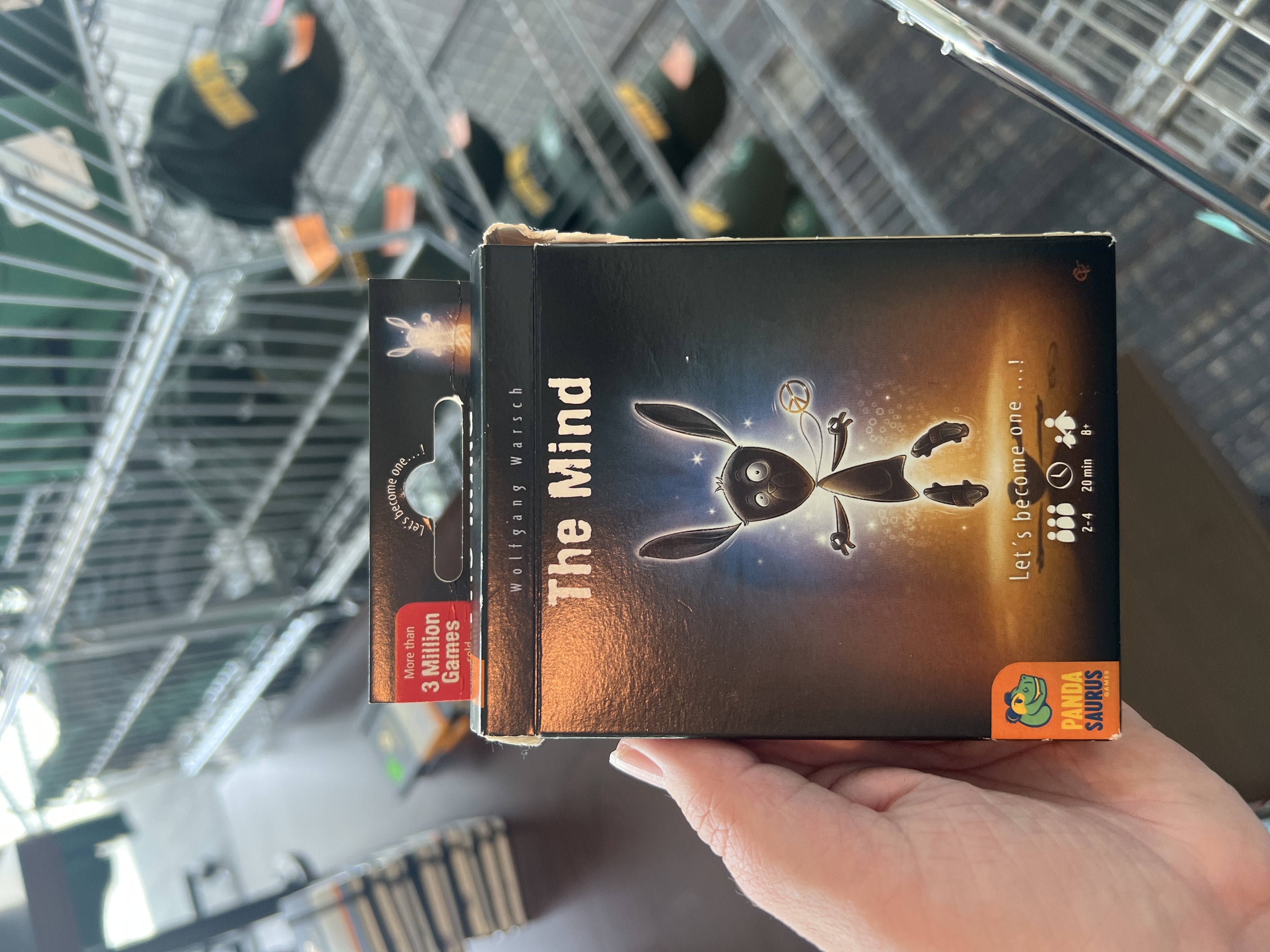 Pandasaurus Games- The Mind Game